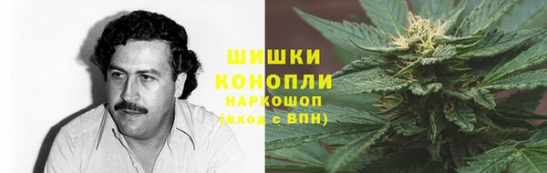 соль ск Арсеньев