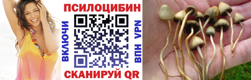 Псилоцибиновые грибы GOLDEN TEACHER Мензелинск